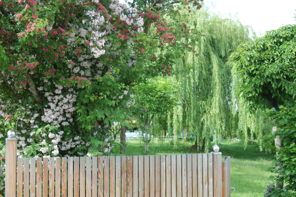 Garten von Hans Wild